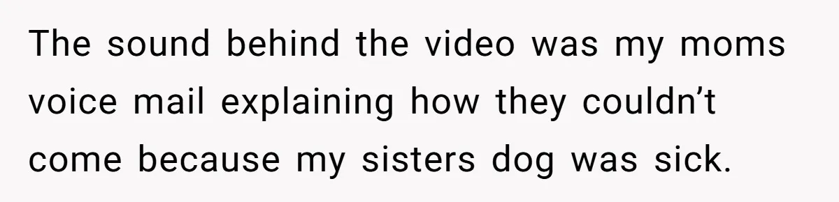 The sound behind the video was my moms voice mail explaining how they couldn’t come because my sisters dog was sick.