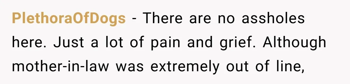 PlethoraOfDogs - There are no assholes here. Just a lot of pain and grief. Although mother-in-law was extremely out of line,