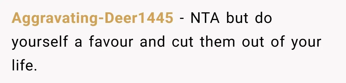Aggravating-Deer1445 − NTA but do yourself a favour and cut them out of your life.