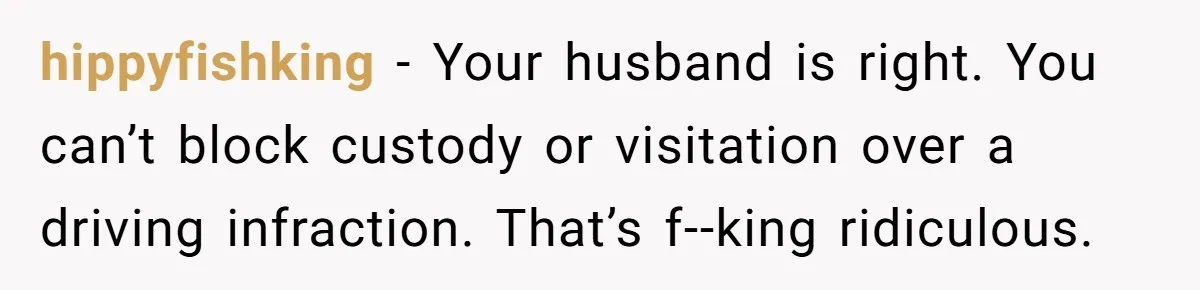 hippyfishking - Your husband is right. You can’t block custody or visitation over a driving infraction. That’s f--king ridiculous.