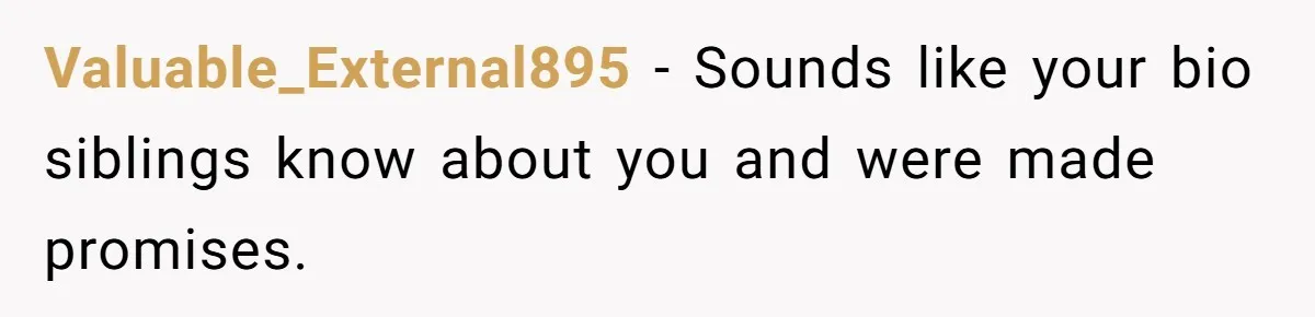 Teen Rejects Family Push To Bond With Bio Siblings, Says His Parents’ Abandonment Was Unforgivable Valuable_External895 − Sounds like your bio siblings know about you and were made promises.