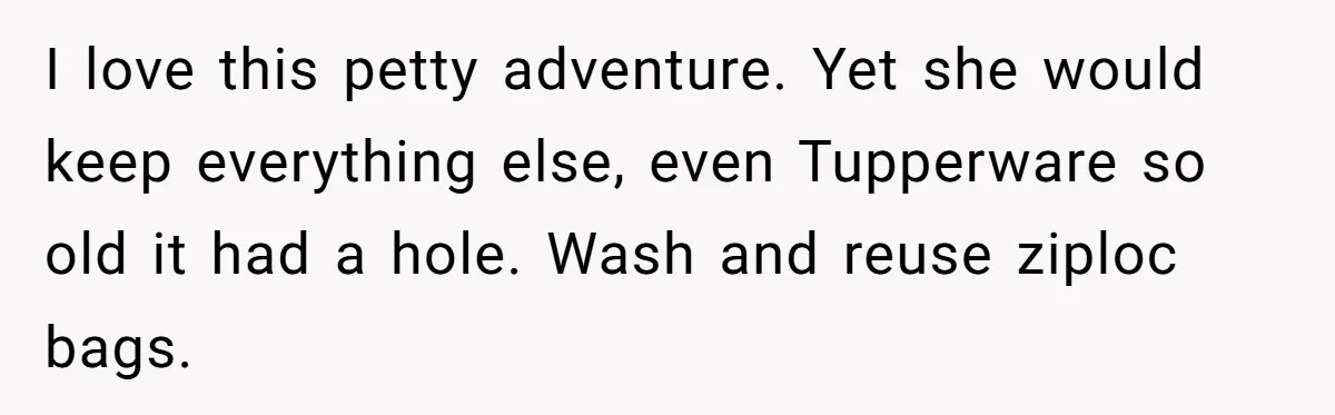 I love this petty adventure. Yet she would keep everything else, even Tupperware so old it had a hole. Wash and reuse ziploc bags.