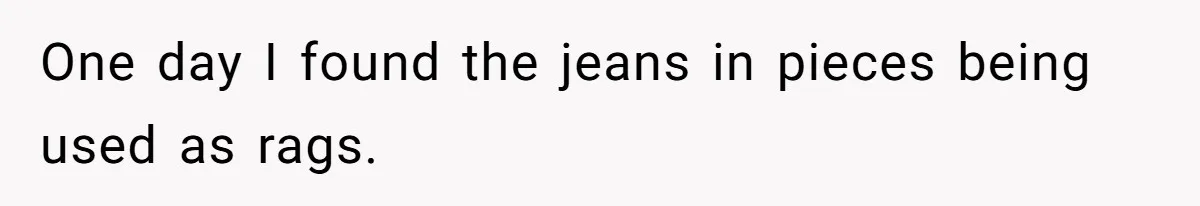 One day I found the jeans in pieces being used as rags.