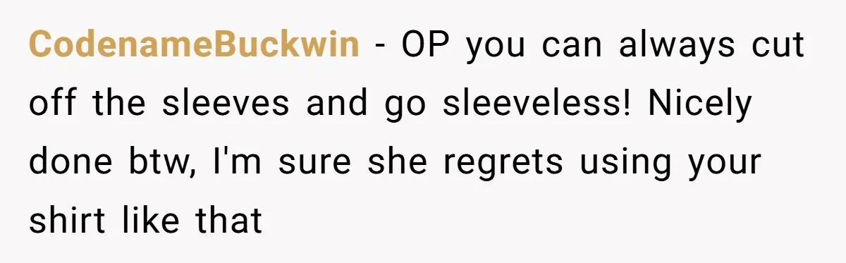 CodenameBuckwin − OP you can always cut off the sleeves and go sleeveless! Nicely done btw, I'm sure she regrets using your shirt like that