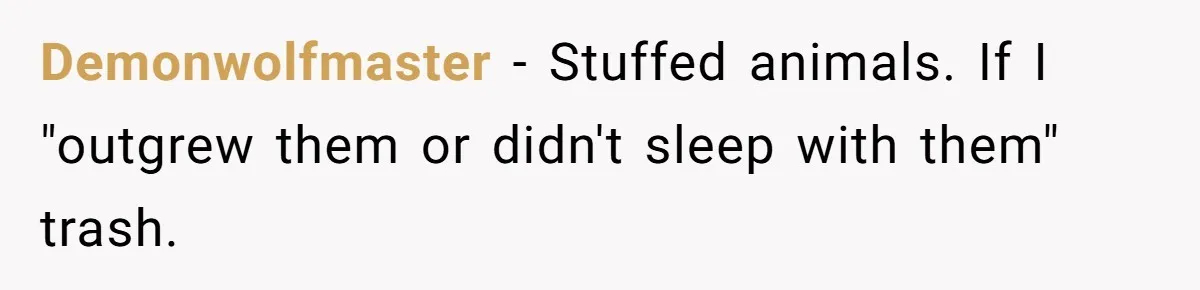 Demonwolfmaster − Stuffed animals. If I "outgrew them or didn't sleep with them" trash.