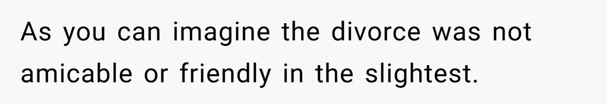 As you can imagine the divorce was not amicable or friendly in the slightest.