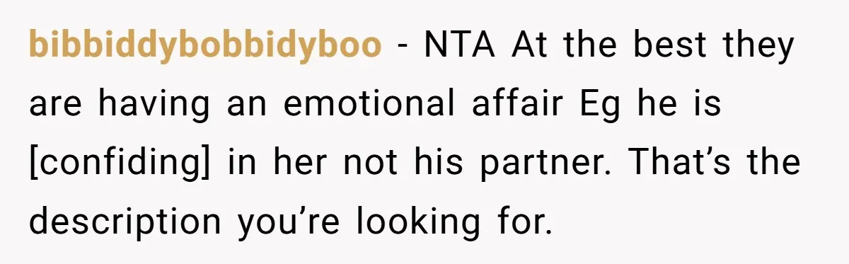 bibbiddybobbidyboo - NTA At the best they are having an emotional affair Eg he is [confiding] in her not his partner. That’s the description you’re looking for.