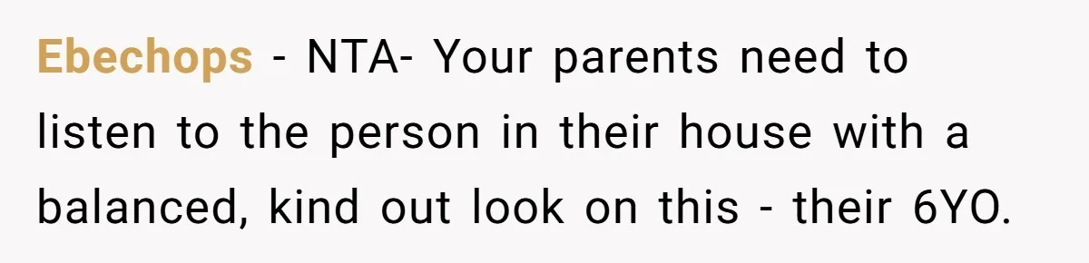 Ebechops − NTA- Your parents need to listen to the person in their house with a balanced, kind out look on this - their 6YO.