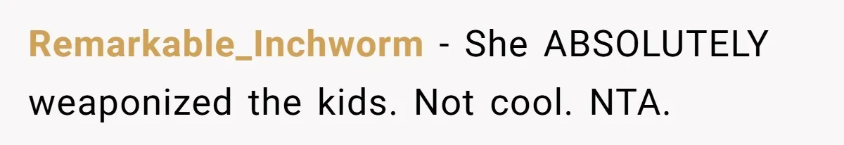 Remarkable_Inchworm - She ABSOLUTELY weaponized the kids. Not cool. NTA.