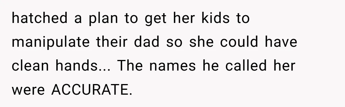hatched a plan to get her kids to manipulate their dad so she could have clean hands... The names he called her were ACCURATE.
