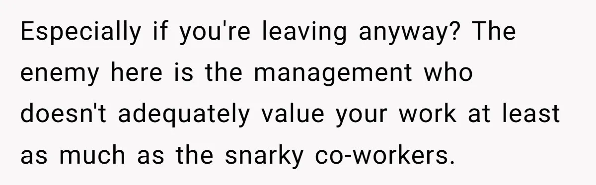 Especially if you're leaving anyway? The enemy here is the management who doesn't adequately value your work at least as much as the snarky co-workers.
