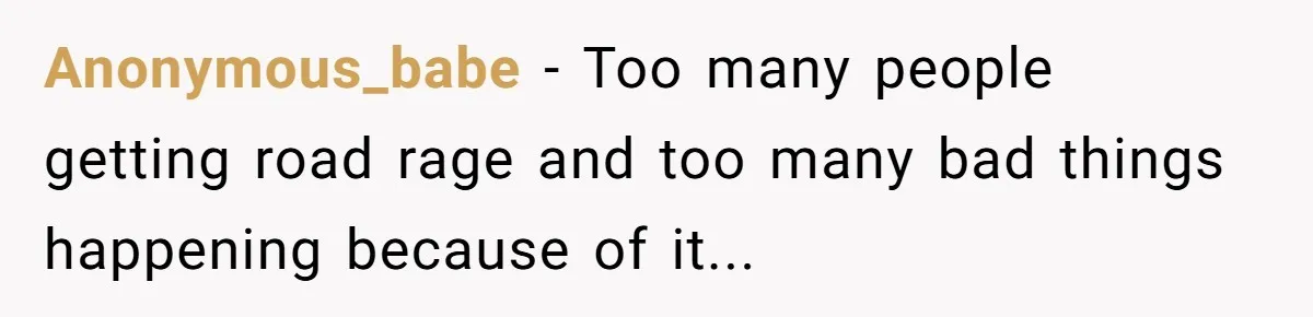 Minivan Driver's Road Rage Ends in Humiliation Thanks to This Clever Trick Anonymous_babe - Too many people getting road rage and too many bad things happening because of it...