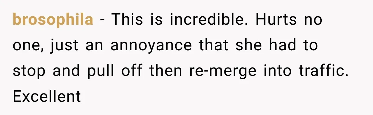 Minivan Driver's Road Rage Ends in Humiliation Thanks to This Clever Trick brosophila - This is incredible. Hurts no one, just an annoyance that she had to stop and pull off then re-merge into traffic. Excellent