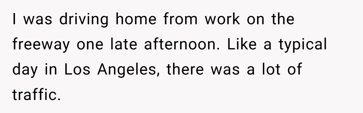 Minivan Driver's Road Rage Ends in Humiliation Thanks to This Clever Trick I was driving home from work on the freeway one late afternoon. Like a typical day in Los Angeles, there was a lot of traffic.