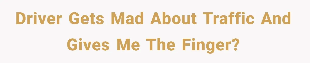 Minivan Driver's Road Rage Ends in Humiliation Thanks to This Clever Trick Driver gets mad about traffic and gives me the finger?