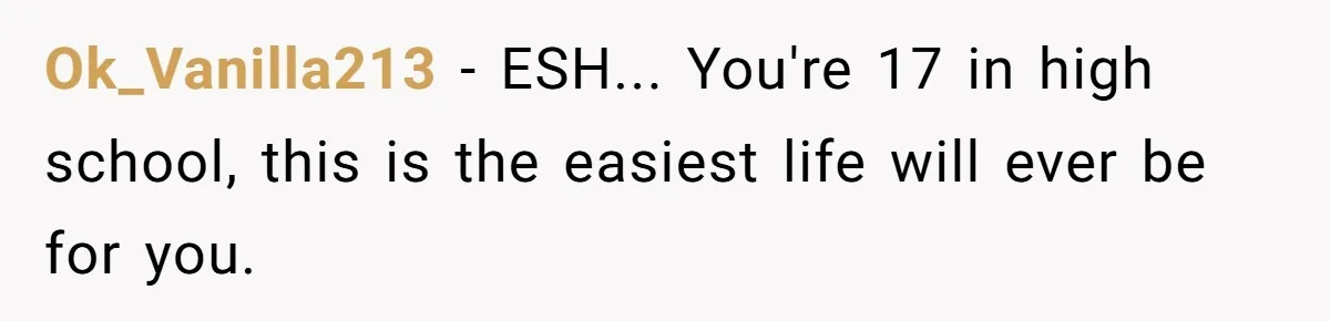 Ok_Vanilla213 - ESH... You're 17 in high school, this is the easiest life will ever be for you.