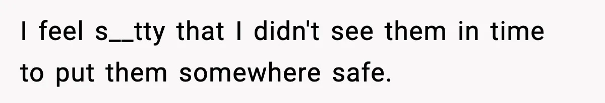 I feel s__tty that I didn't see them in time to put them somewhere safe.