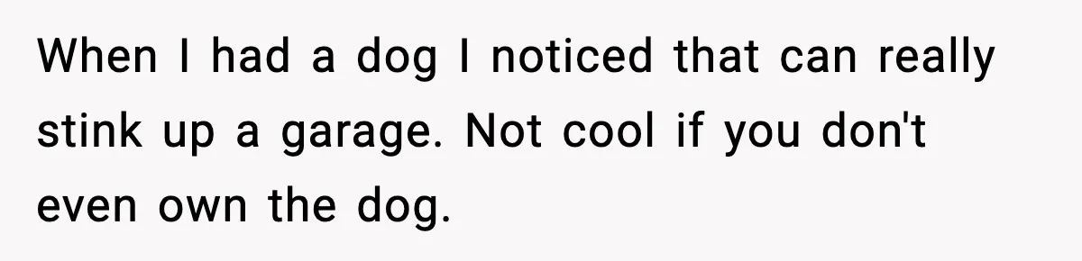 When I had a dog I noticed that can really stink up a garage. Not cool if you don't even own the dog.