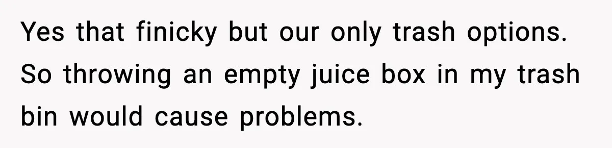 Yes that finicky but our only trash options. So throwing an empty juice box in my trash bin would cause problems.