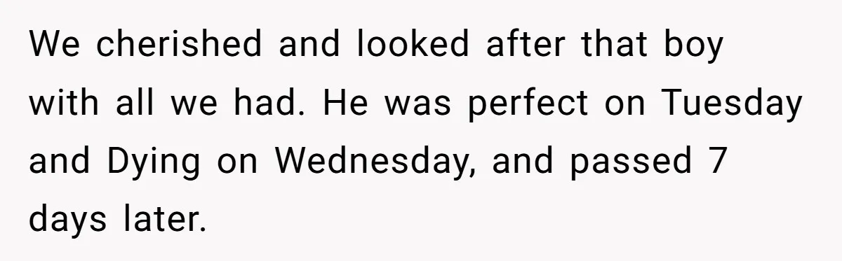 Husband and Wife Go No-Contact With Parents Who Ruined Their Son’s Goodbye We cherished and looked after that boy with all we had. He was perfect on Tuesday and Dying on Wednesday, and passed 7 days later.