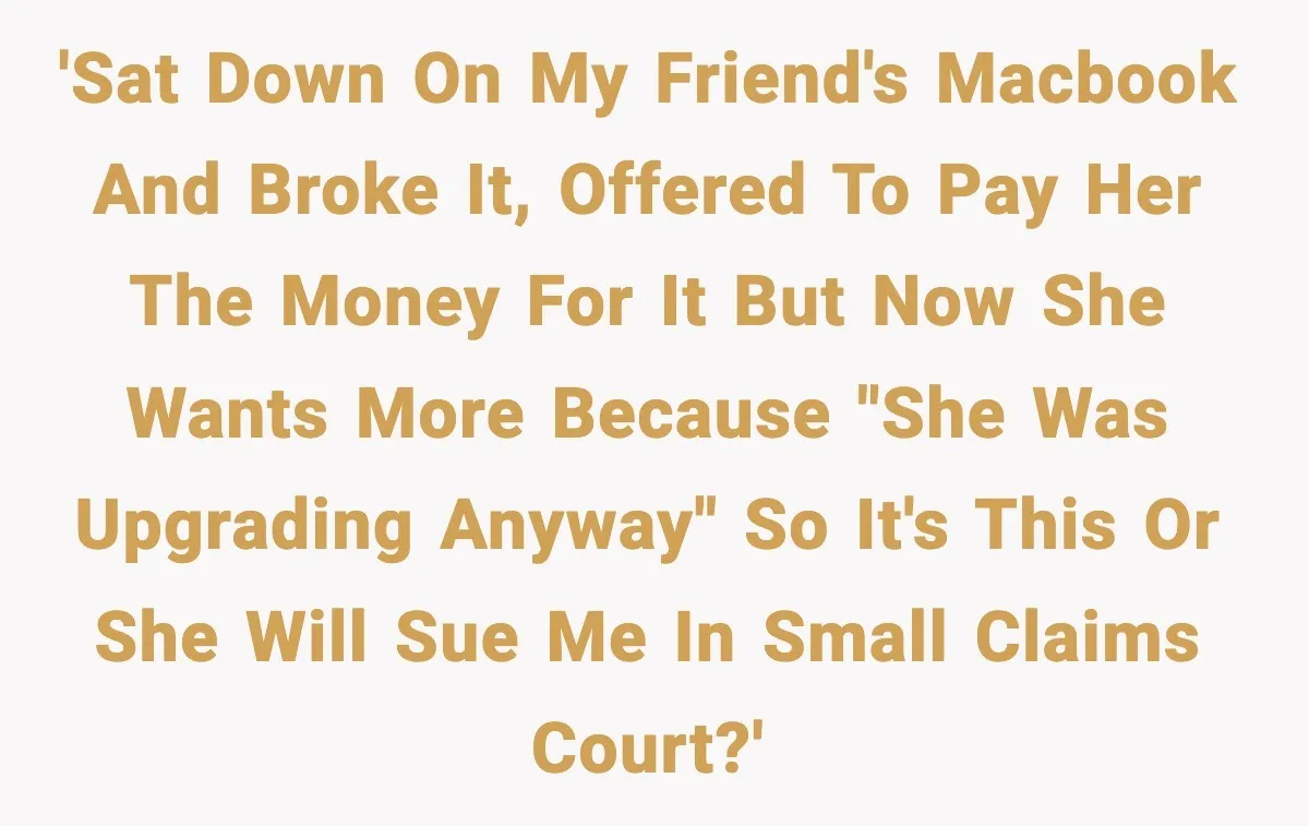 'Sat down on my friend's MacBook and broke it, offered to pay her the money for it but now she wants more because "she was upgrading anyway" so it's this...