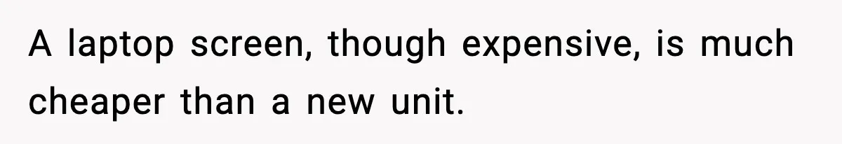 A laptop screen, though expensive, is much cheaper than a new unit.