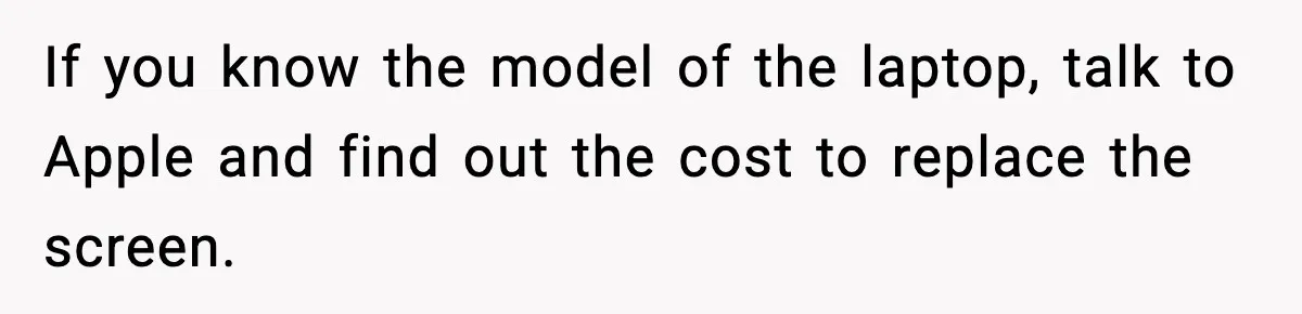 If you know the model of the laptop, talk to Apple and find out the cost to replace the screen.