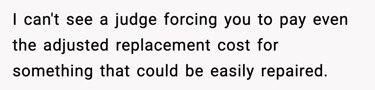 I can't see a judge forcing you to pay even the adjusted replacement cost for something that could be easily repaired.