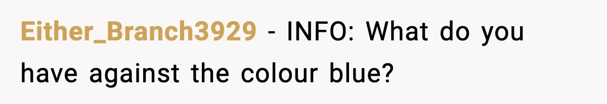 Either_Branch3929 - INFO: What do you have against the colour blue?