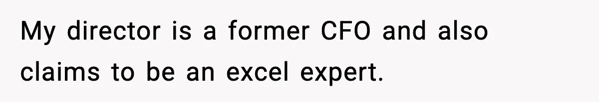 My director is a former CFO and also claims to be an excel expert.
