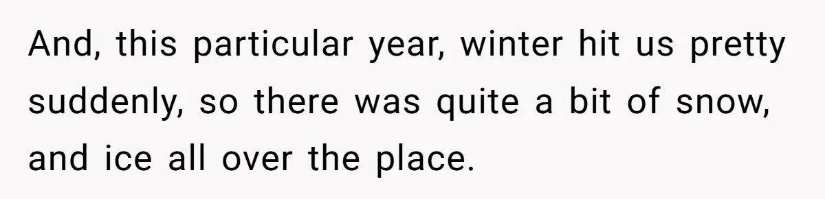 And, this particular year, winter hit us pretty suddenly, so there was quite a bit of snow, and ice all over the place.