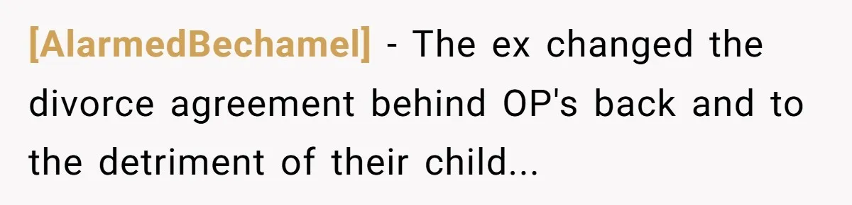 [AlarmedBechamel] − The ex changed the divorce agreement behind OP's back and to the detriment of their child...