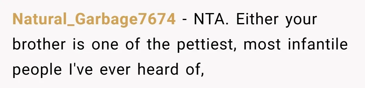 Natural_Garbage7674 − NTA. Either your brother is one of the pettiest, most infantile people I've ever heard of,