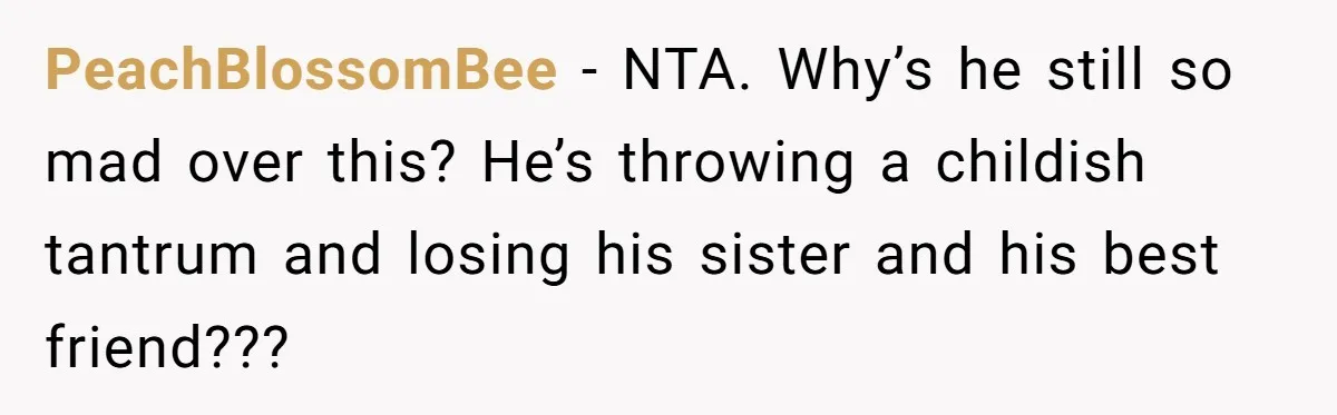 PeachBlossomBee − NTA. Why’s he still so mad over this? He’s throwing a childish tantrum and losing his sister and his best friend???