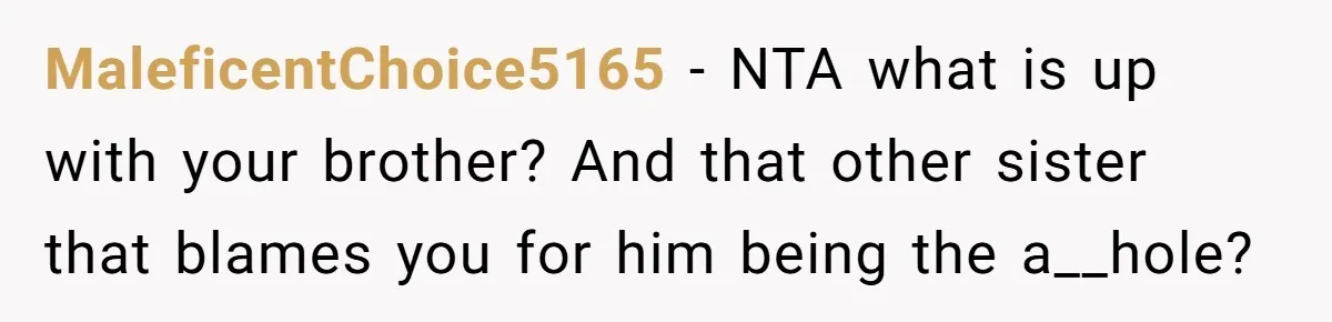 MaleficentChoice5165 − NTA what is up with your brother? And that other sister that blames you for him being the a__hole?