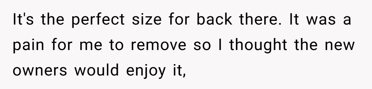 It's the perfect size for back there. It was a pain for me to remove so I thought the new owners would enjoy it,