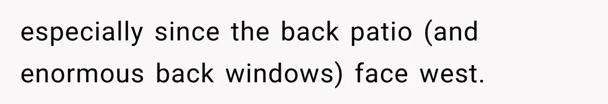especially since the back patio (and enormous back windows) face west.