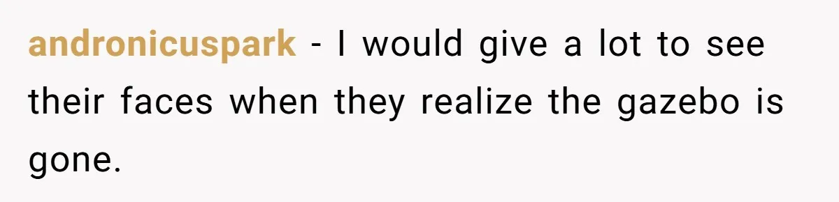 andronicuspark − I would give a lot to see their faces when they realize the gazebo is gone.