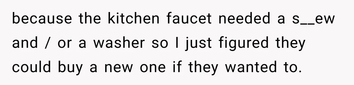 because the kitchen faucet needed a s__ew and / or a washer so I just figured they could buy a new one if they wanted to.
