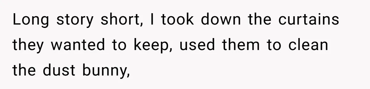 Long story short, I took down the curtains they wanted to keep, used them to clean the dust bunny,