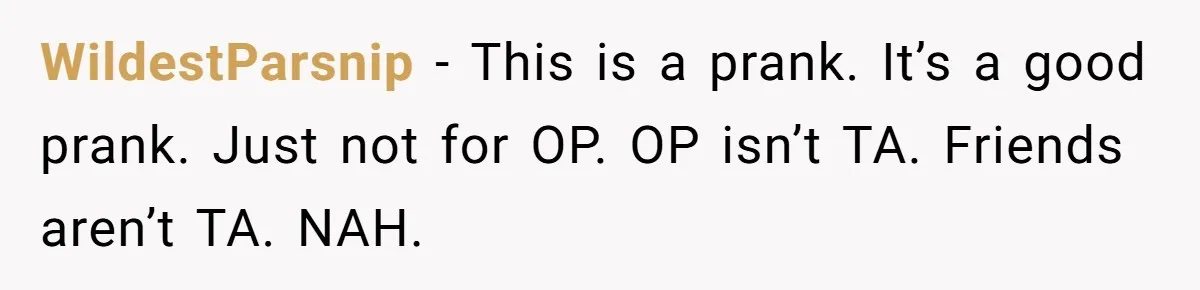 Woman With Schizophrenia Has A Breakdown After Friends’ Prank, Now They Accuse Her Of Not Sharing Medical History WildestParsnip − This is a prank. It’s a good prank. Just not for OP. OP isn’t TA. Friends aren’t TA. NAH.