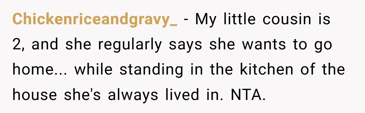 Father Struggles To Convince His Child He Lives At Home, Wife Calls Him Out For Expecting Too Much Chickenriceandgravy_ − My little cousin is 2, and she regularly says she wants to go home... while standing in the kitchen of the house she's always lived in. NTA.