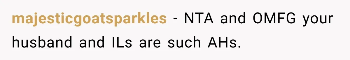 majesticgoatsparkles − NTA and OMFG your husband and ILs are such AHs.