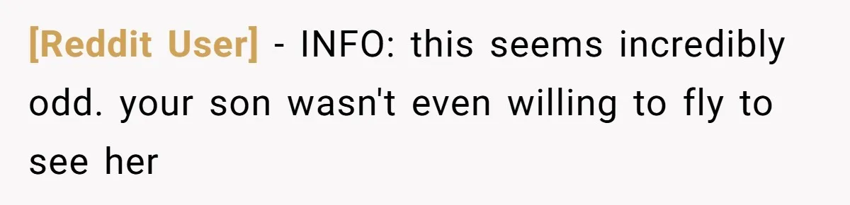 [Reddit User] − INFO: this seems incredibly odd. your son wasn't even willing to fly to see her
