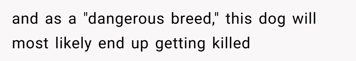 and as a "dangerous breed," this dog will most likely end up getting killed