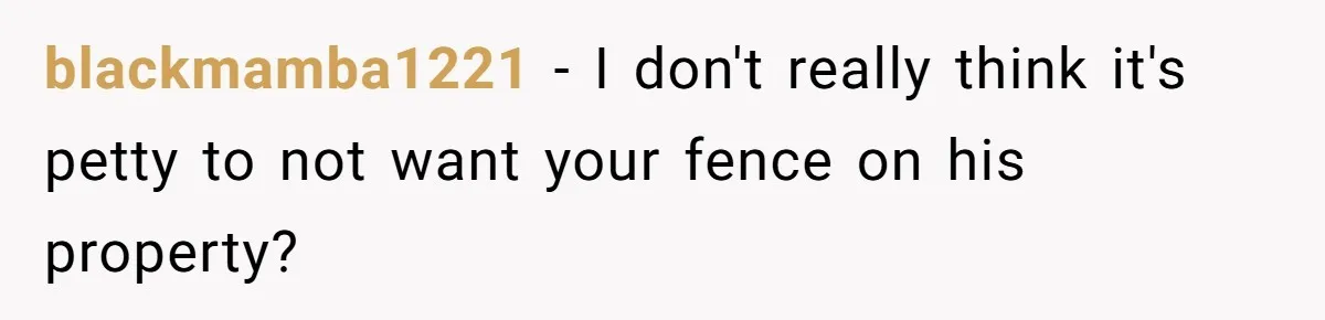 blackmamba1221 − I don't really think it's petty to not want your fence on his property?