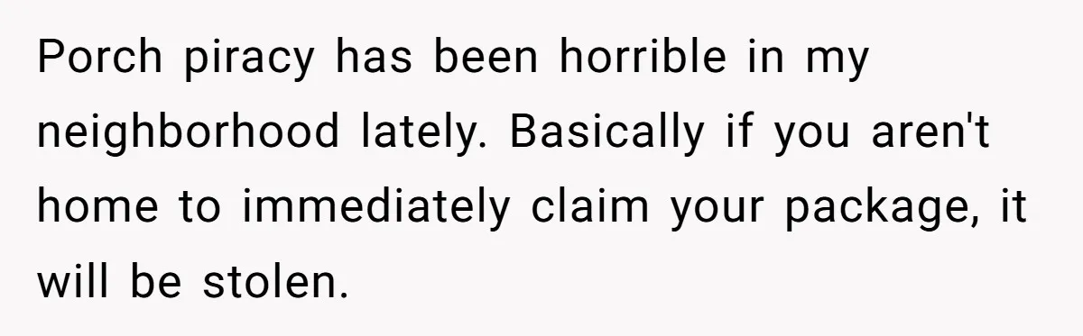 Porch piracy has been horrible in my neighborhood lately. Basically if you aren't home to immediately claim your package, it will be stolen.