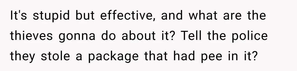 It's stupid but effective, and what are the thieves gonna do about it? Tell the police they stole a package that had pee in it?