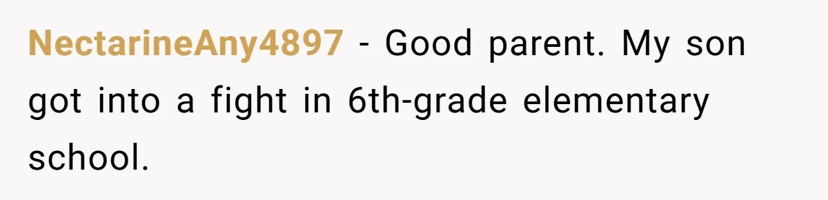 NectarineAny4897 − Good parent. My son got into a fight in 6th-grade elementary school.