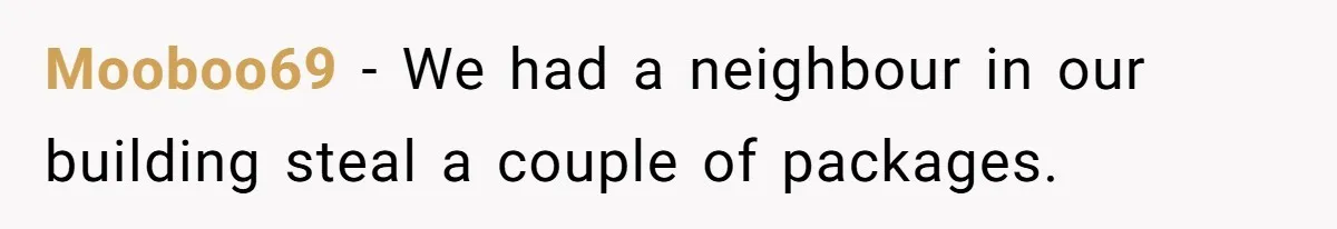 Mooboo69 − We had a neighbour in our building steal a couple of packages.
